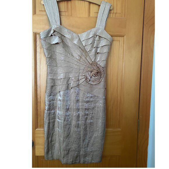 MAGGY LONDON Melanie Lyne Raffle Dress Champagne size 4 - Picture 2 of 8